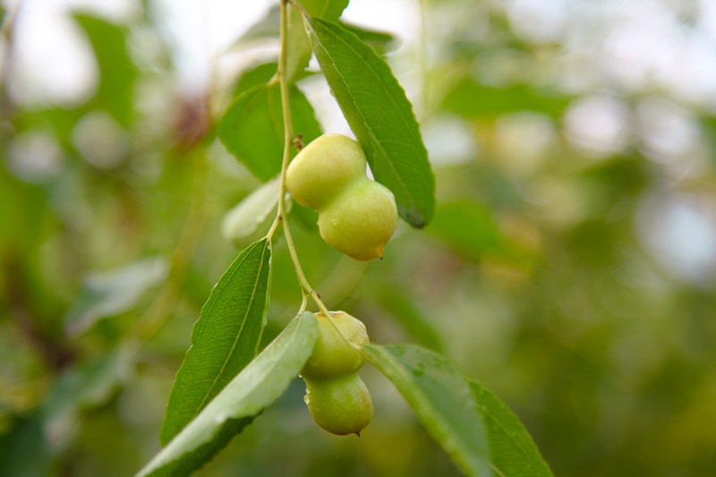 ÔæÏç05.jpg ÔæÏç05.jpg