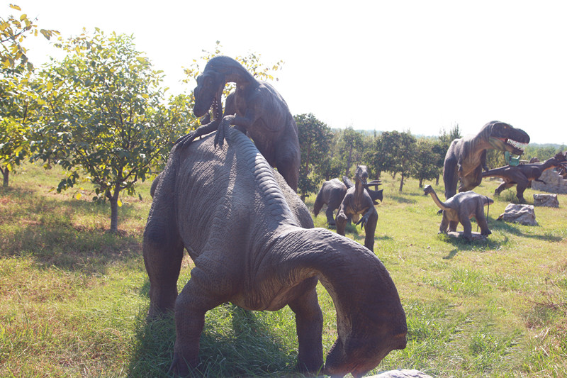 ÔæÏç03.jpg ÔæÏç03.jpg