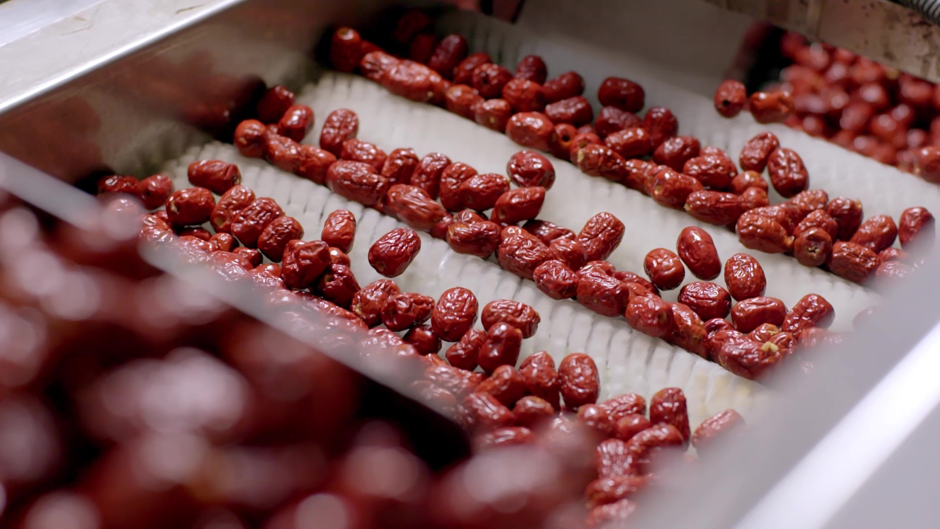 1749281446727265.jpg È¥ºËºìÔæÉ¸Ñ¡.jpg